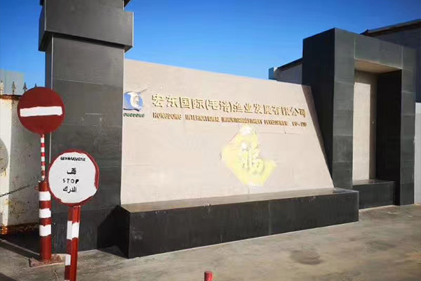 出口毛里塔尼亞一化工廠用6噸、10噸燃?xì)庹羝仩t項目